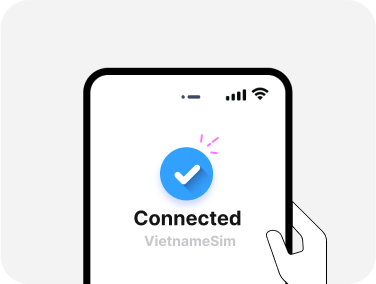 Step 3 - Enjoy Internet with Hanoi eSIM