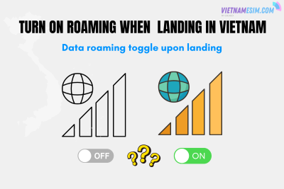 Should you turn on data roaming when landing in Vietnam