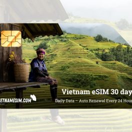 eSIM Vietnam 30 Tage
