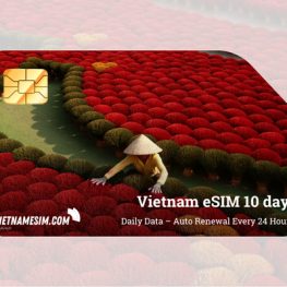 eSIM Vietnam 10 Tage von Vietnamesim.com