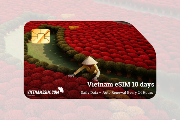 Vietnam esim 10 days by Vietnamesim.com Vietnam esim 10 days by Vietnamesim.com